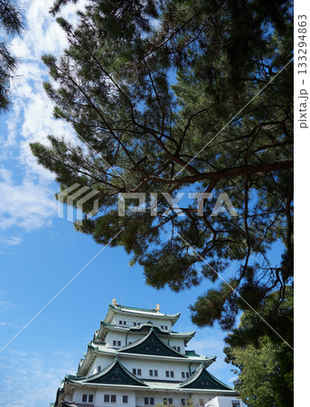 秋の名古屋城の天守閣の風景 133294863