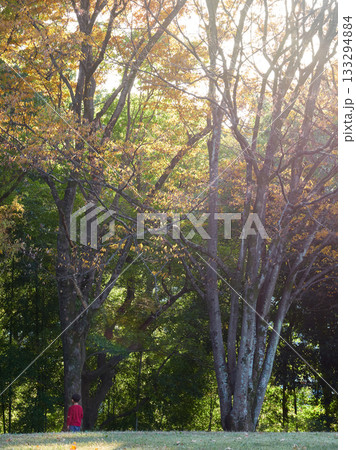 秋の公園で遊んでいる保育園の園児の姿 133294884