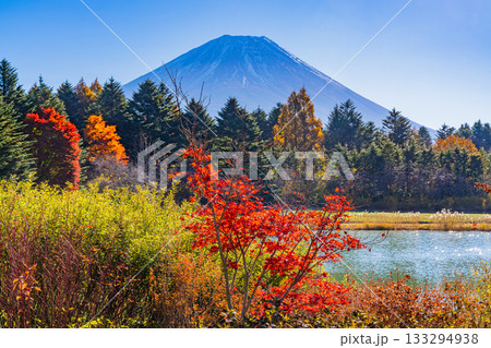 【山梨県】秋の本栖湖リゾート 富士山 【山梨県】秋の本栖湖リゾート 富士山 133294938