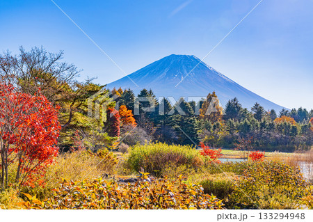 【山梨県】秋の本栖湖リゾート 富士山 【山梨県】秋の本栖湖リゾート 富士山 133294948