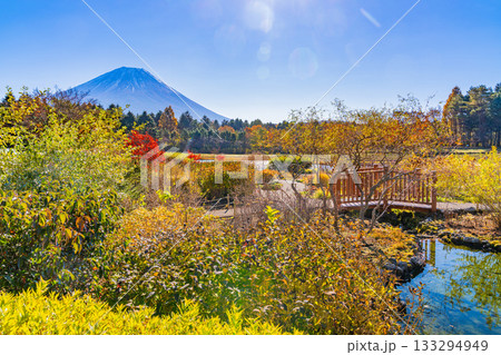 【山梨県】秋の本栖湖リゾート　富士山 133294949