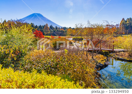 【山梨県】秋の本栖湖リゾート　富士山 133294950