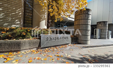 京都大学総合博物館と銀杏 133295561
