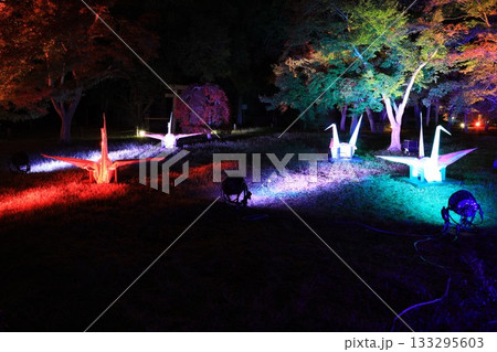 ライトアップされた岡山城と後楽園 133295603