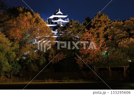 ライトアップされた岡山城と後楽園 ライトアップされた岡山城と後楽園 133295606