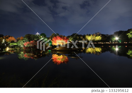 ライトアップされた岡山城と後楽園 ライトアップされた岡山城と後楽園 133295612