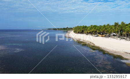 Tropical beach with white sand and palm trees 133295917