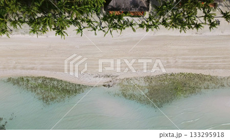 Tropical beach with white sand and palm trees 133295918