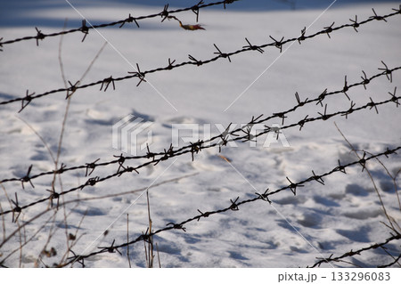 A barbed wore fence with a backdrop of snow at Unit 731 Harbin, China 133296083