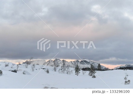 Arctic Norway in Winter Arctic Norway in Winter 133296100