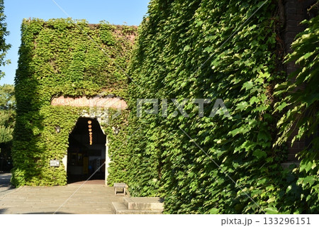 倉敷アイビースクエア 133296151