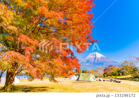 【静岡県】秋の田貫湖湖畔キャンプ場と富士山 133296172