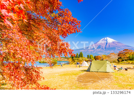 【静岡県】秋の田貫湖湖畔キャンプ場と富士山 133296174