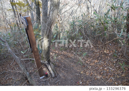 秋の蓬田岳 秋の蓬田岳 133296376