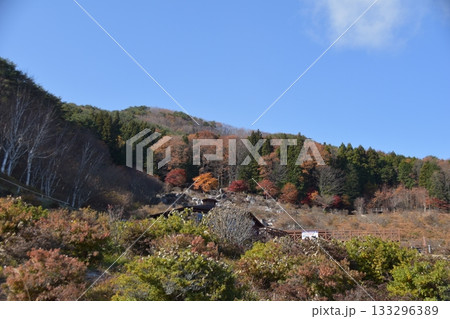 秋の蓬田岳 秋の蓬田岳 133296389