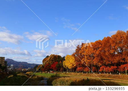 紅葉に包まれる盛岡城跡公園の外堀 紅葉に包まれる盛岡城跡公園の外堀 133296935