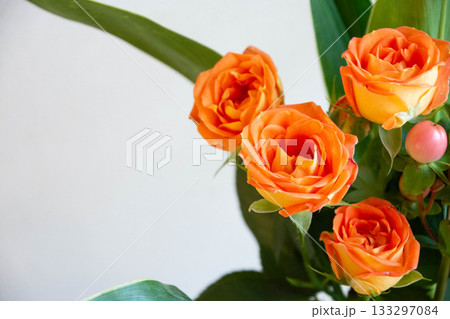 薔薇とヒペリカム 薔薇とヒペリカム 133297084