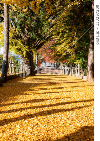 三重県 名張市 積田神社の紅葉 三重県 名張市 積田神社の紅葉 133297209
