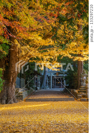 三重県 名張市 積田神社の紅葉 三重県 名張市 積田神社の紅葉 133297210