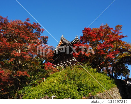 善峯寺の紅葉 133297213
