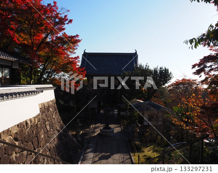 善峯寺の紅葉 133297231