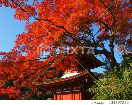 善峯寺の紅葉 133297259