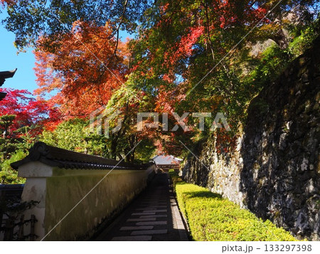 善峯寺の紅葉 善峯寺の紅葉 133297398