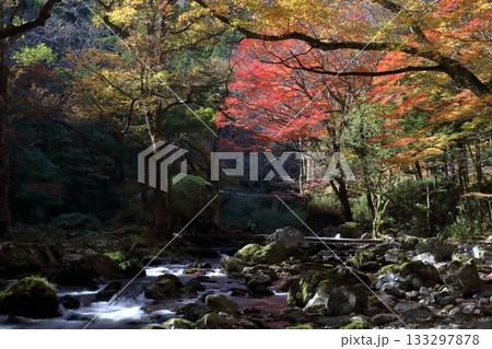 小田深山渓谷　癒しの空間　（愛媛県　内子町） 133297878