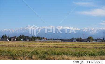 雪の立山連峰と孫生えの田 133298220