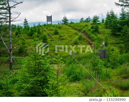 夏の笠取山 133298990