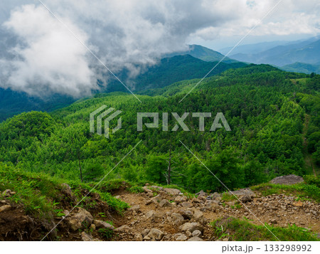 夏の笠取山 夏の笠取山 133298992
