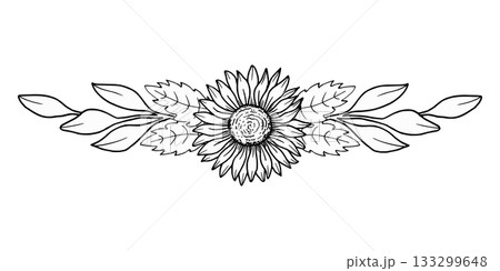 Autumn frame, banner and background. Sunflower flower with leaves. Botanical vector illustration. Hand drawn black graphics. Seasonal holiday design. Thanksgiving. Rustic wedding. 133299648