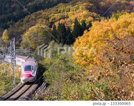 【秋田新幹線】紅葉する山間部を走行する特急こまち 【秋田新幹線】紅葉する山間部を走行する特急こまち 133300065