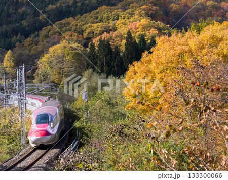 【秋田新幹線】紅葉する山間部を走行する特急こまち 【秋田新幹線】紅葉する山間部を走行する特急こまち 133300066