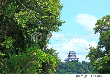愛知県犬山市、国宝犬山城の風景 133300208