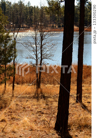 Lake of the Woods Arizona Lake of the Woods Arizona 133300290