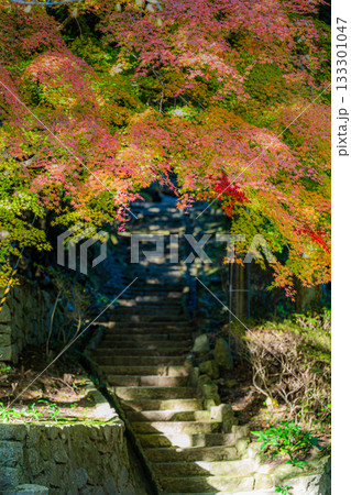 播州清水寺 播州清水寺 133301047