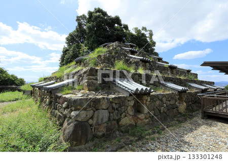 奈良市にある土製の塔「頭塔」 133301248