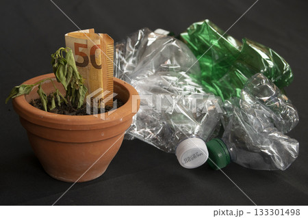 dead plant with euro money in pot next to crushed plastic bottles dead plant with euro money in pot next to crushed plastic bottles 133301498