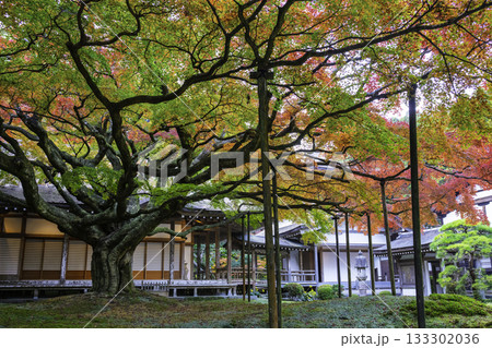 秋の色に染まりはじめた雷山千如寺大悲王院(福岡県糸島市) 秋の色に染まりはじめた雷山千如寺大悲王院(福岡県糸島市) 133302036
