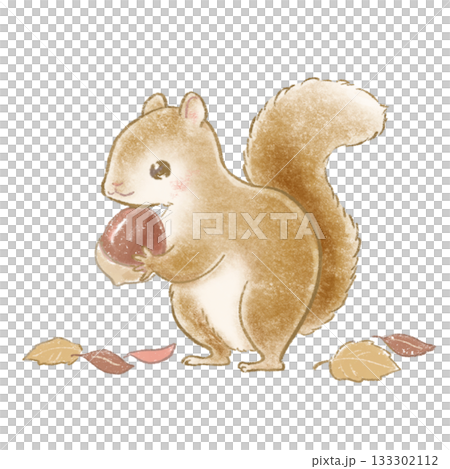 一隻可愛的小松鼠抱著一顆橡子，用柔和的色鉛筆風格繪製而成。 133302112