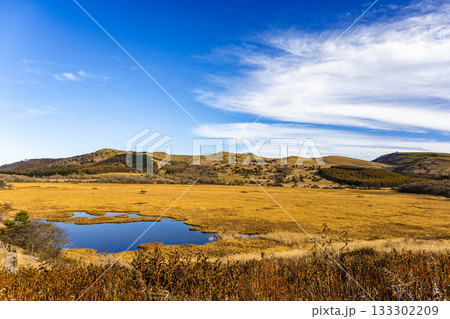 八島湿原と霧ヶ峰車山方面 133302209
