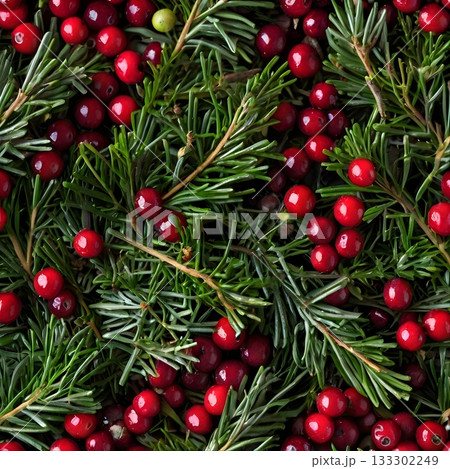 Winter Juniper Mint Winter Juniper Mint 133302249