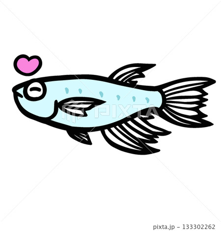 かわいいよろこぶヒレ長メダカのイラスト かわいいよろこぶヒレ長メダカのイラスト 133302262