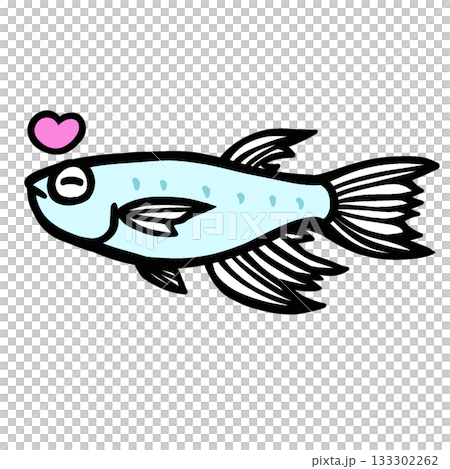 かわいいよろこぶヒレ長メダカのイラスト かわいいよろこぶヒレ長メダカのイラスト 133302262