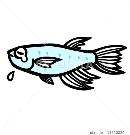 かわいい悲しむヒレ長メダカのイラスト かわいい悲しむヒレ長メダカのイラスト 133302264
