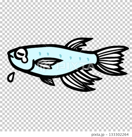 一幅可愛又憂鬱的長鰭鱂魚插圖 一幅可愛又憂鬱的長鰭鱂魚插圖 133302264