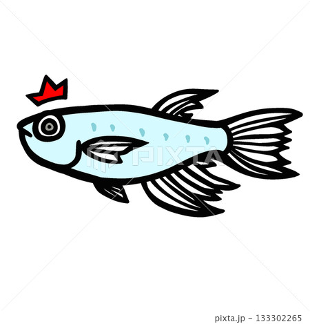 かわいい驚くヒレ長メダカのイラスト かわいい驚くヒレ長メダカのイラスト 133302265