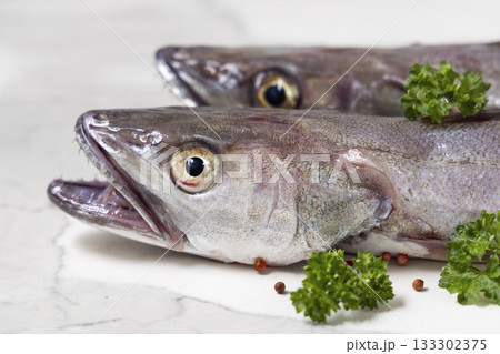 Fresh European hake fish on marble table with parsley, Raw uncooked Merluccius close-up Fresh European hake fish on marble table with parsley, Raw uncooked Merluccius close-up 133302375