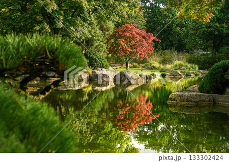 Autumn leaf color and reflections in water in Japanese garden  in Hamburg 133302424